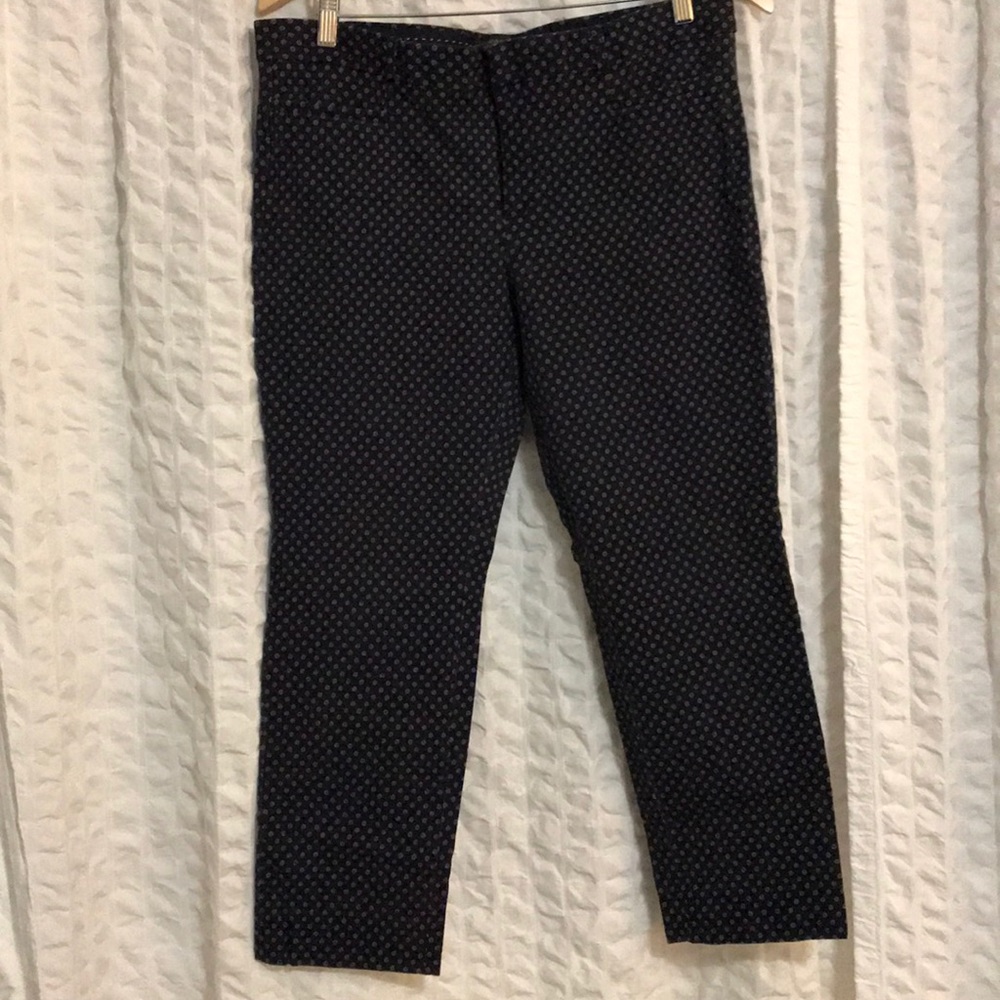 Banana Republic Sloan Cropped Pants Sz 14